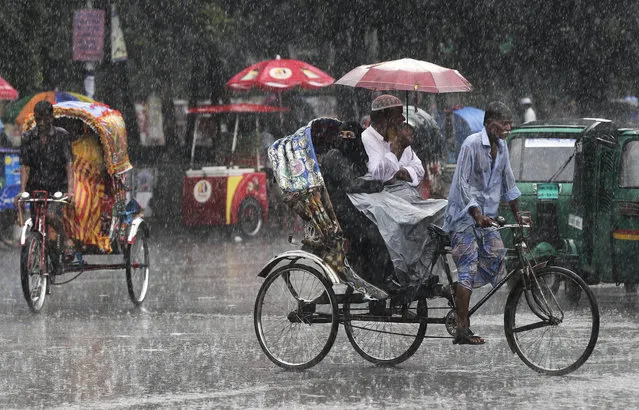 Bangladesh cycle rickshaw drivers pedal under heavy rain in Dhaka, Bangladesh, Sunday, August 23, 2015. Bangladesh receives its monsoon rains from June to October. (Photo by A. M. Ahad/AP Photo)