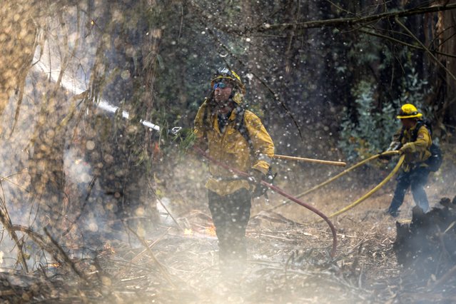 Firefighters battle the Anzar Fire near Aromas, Calif., Thursday, July 21, 2022. (Photo by Nic Coury/AP Photo)