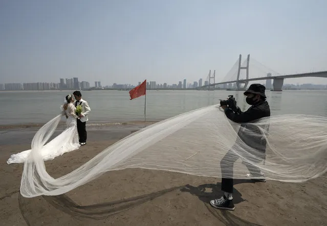 Luo Jian and Cheng Yishuang (1st L) pose for wedding photos on the bank of the Yangtze River in Wuhan, central China's Hubei Province, April 12, 2020. Luo Jian and Cheng Yishuang had planned to take wedding photos and hold wedding ceremony in Wuhan after the Spring Festival, which fell on Jan. 25 this year, but the plan was unexpectedly interrupted by the COVID-19 epidemic. As the coronavirus epidemic waned, Wuhan has resumed marriage registration service for citizens since April 3. Related industries such as dress rental and wedding photography also began to resume. After knowing that a wedding photography studio in Wuhan was going back to work, Luo Jian and Cheng Yishuang immediately made an appointment for the second day of the reopening. (Photo by Xinhua News Agency/Rex Features/Shutterstock)