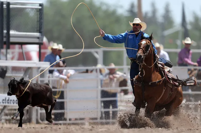 In this Wednesday, July 27, 2016 photo, Reese Riemer of Stinnett, Texas, competes in the tie-down roping event during the fifth day of the 120th annual Cheyenne Frontier Days Rodeo at Frontier Park Arena in Cheyenne, Wyo. (Photo by Blaine McCartney/The Wyoming Tribune Eagle via AP Photo)