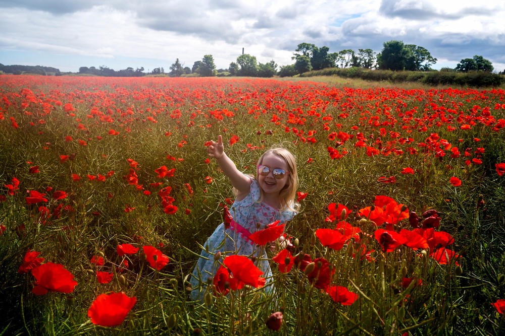 Some Photos: In Flowers