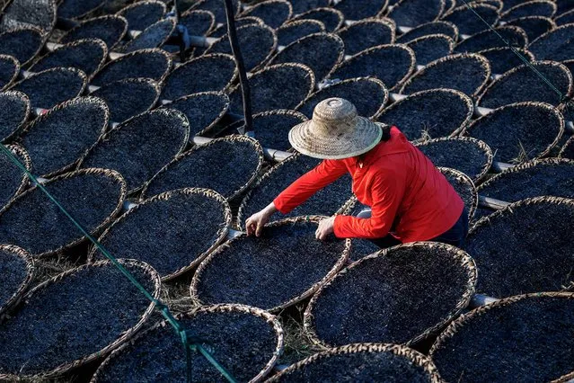 This photo taken on October 25, 2022 shows a local resident drying seaweed in Ningbo in China's eastern Zhejiang province. (Photo by AFP Photo/China Stringer Network)