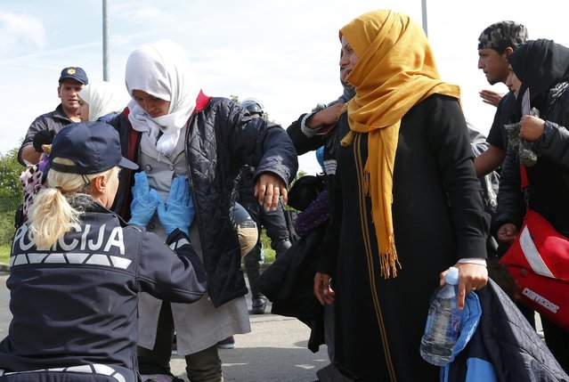 Police do body checks on migrants before they are allowed to board their bus at the Croatia-Slovenia border crossing at Bregana, Croatia, September 20, 2015. (Photo by Laszlo Balogh/Reuters)