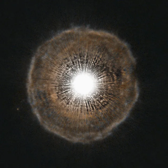 U Camelopardalis, or U Cam for short, a star nearing the end of its life located in the constellation of Camelopardalis, near the North Celestial Pole. (Photo by H. Olofsson/Reuters/NASA/ESA/Hubble Heritage Team)