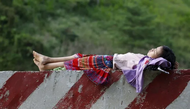 Lung Thi Nhi, 8, of the Giay ethnic tribe, rests along a roadside while looking after her buffalos in Yen Minh district of Vietnam's northern province of Ha Giang, located on the border with China, September 19, 2015. (Photo by Reuters/Kham)