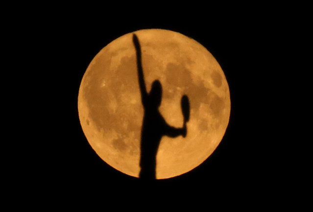 The Wimbledon Weathervane is seen in front of the “Buck Moon” at the end of day eleven of The Championships Wimbledon 2025 at All England Lawn Tennis and Croquet Club on July 10, 2025 in London, England. (Photo by Julian Finney/Getty Images)