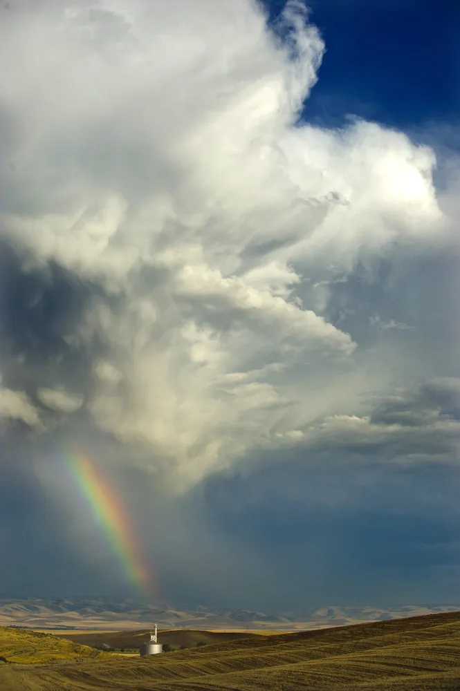 Simply Some Photos: Rainbow