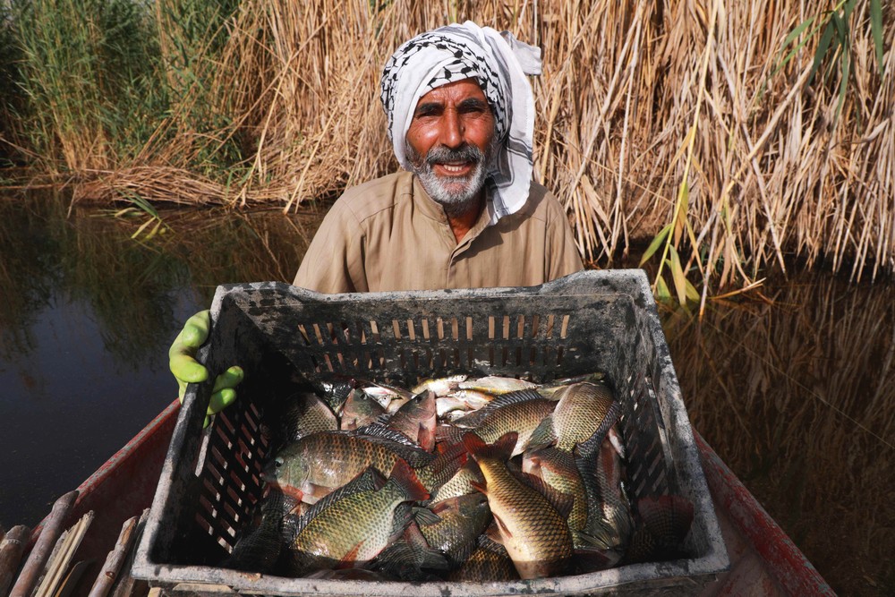 A Look at Life in Iraq