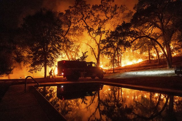 A firefighter battles the Pickett Fire burning in the Aetna Springs area of Napa County, Calif., on Saturday, August 23, 2025. (Photo by Noah Berger/AP Photo)
