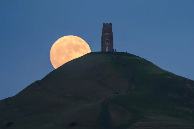 A January “wolf” moon, the first supermoon of the year, rises behind Glastonbury Tor in Somerset, England on January 1, 2018. (Photo by Stephen Spraggon/Alamy Live News)