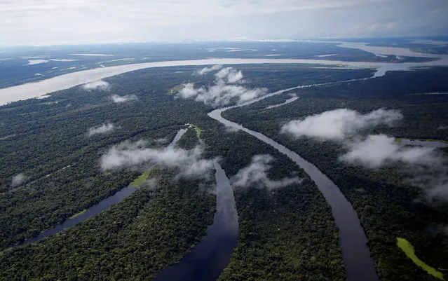 The Mamiraua Sustainable Development Reserve is seen in Uarini, Amazonas state, Brazil, May 16, 2016. (Photo by Bruno Kelly/Reuters)