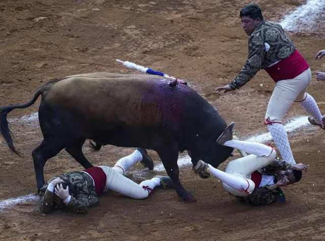Members of “Forcados Amadores de Mexico” are toppled by a bull during a bullfight at The Plaza de toros Mexico in Mexico City, Sunday, February 20, 2022. This season's bullfights in Mexico City may be the last, as legislators in the city assembly seek to revive a bill banning the activity. (Photo by Fernando Llano/AP Photo)