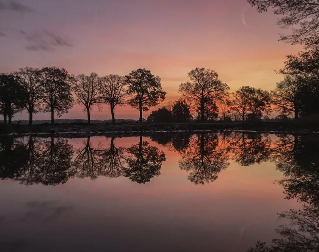 Trees are mirrored  in a lake near Sierversdorf, eastern Germany, Saturday, November 4, 2017  shortly before sunrise.  (Photo by Patrick Pleul/DPA via AP Photo)