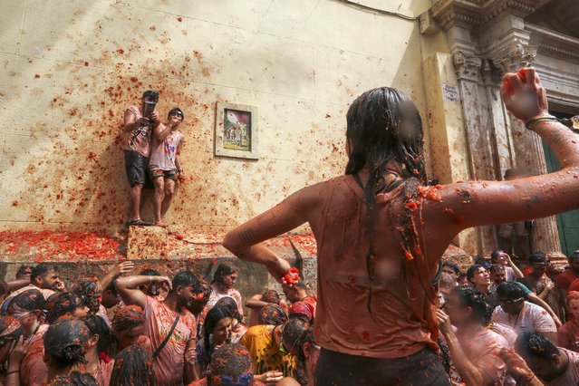 Revellers throw tomatoes at each other during the annual “Tomatina” tomato fight fiesta, in the village of Bunol near Valencia, Spain, Wednesday, August 28, 2024. (Photo by Alberto Saiz/AP Photo)