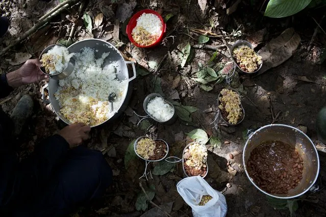 In this January 4, 2016 photo, a rebel soldier of the 36th Front of the Revolutionary Armed Forces of Colombia, or FARC, serves up a portion of rice, eggs, sausage and beans, for breakfast, at a hidden camp in Antioquia state, in the northwest Andes of Colombia. If the FARC seems at times stuck in a time warp, rebels share an enormous gratitude to the insurgency for rescuing them from poverty, providing them with a “family” and sense of belonging. (Photo by Rodrigo Abd/AP Photo)