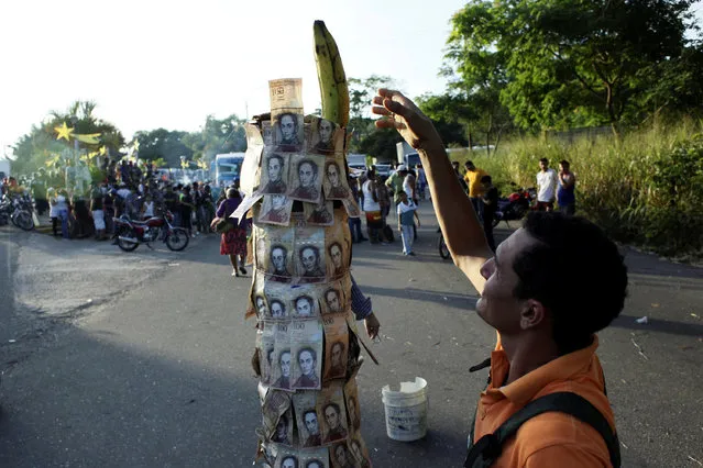 A man places a banana on a pole covered with 100-bolivar bills during a protest in El Pinal, Venezuela December 16, 2016. (Photo by Carlos Eduardo Ramirez/Reuters)