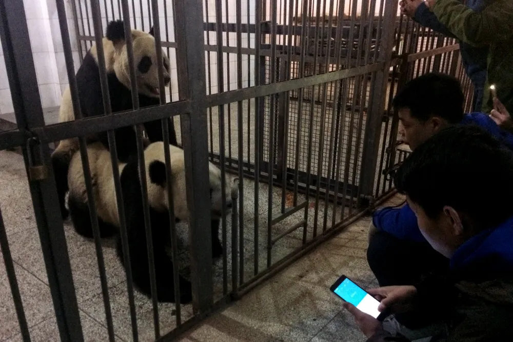 A Look at Life in China