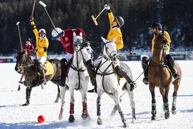 Chris Hyde (C-L) of team Cartier in action against Aluisio Rosa (2-R) of team Perrier-Jouet during the Snow Polo World Cup tournament in St. Moritz, Switzerland, January 29, 2016. (Photo by Gian Ehrenzeller/EPA)