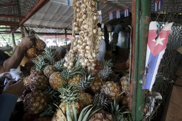 A Cuban flag hangs near pineapples and onions at a state market in Havana January 19, 2016. (Photo by Enrique de la Osa/Reuters)