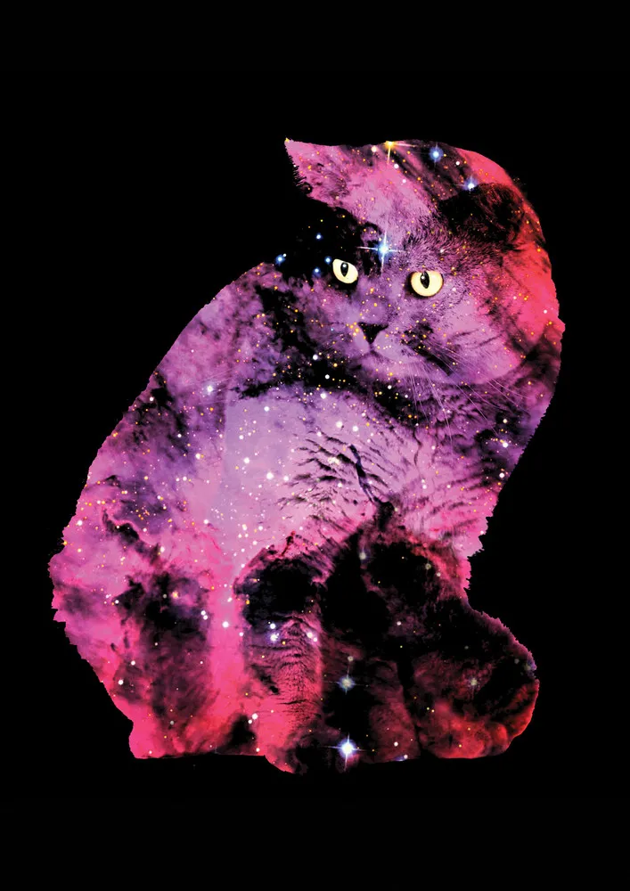 Space Cats By Zippora Lux