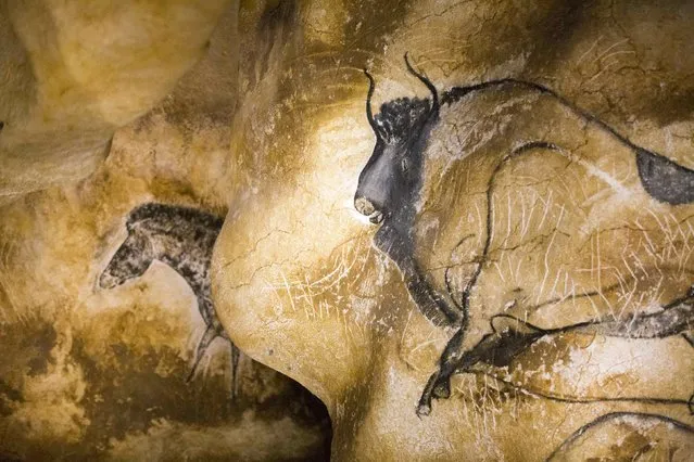 A replica of pre-historic drawings showing animals is seen on a wall during a press visit at the site of the Cavern of Pont-d'Arc project in Vallon Pont d'Arc April 8, 2015. (Photo by Robert Pratta/Reuters)