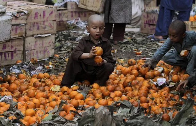 Pakistani children browse through a pile of rotten oranges thrown by vendors at a fruit market in Lahore, Pakistan, Sunday, April 12, 2015. (Photo by Anjum Naveed/AP Photo)