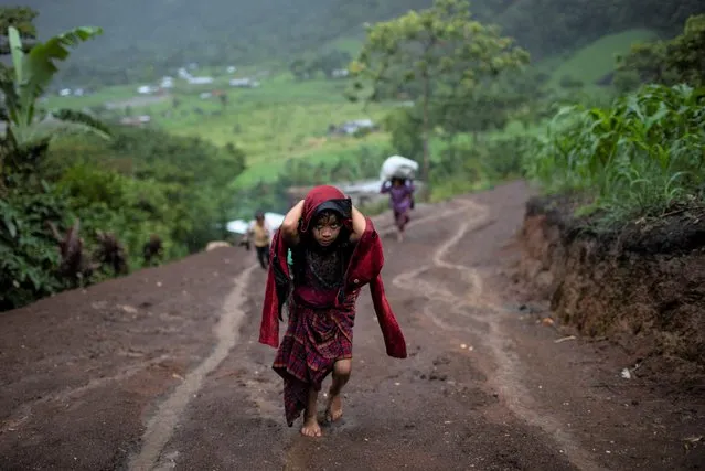 After a heavy rain, a girl hauls wood for cooking, in the makeshift settlement Nuevo Queja, Guatemala, Monday, July 5, 2021. The survivors of a mudslide triggered by Hurricane Eta, burying their Guatemalan town Queja in November 2020, were left destitute and displaced in the desperately shabby settlement. (Photo by Rodrigo Abd/AP Photo)