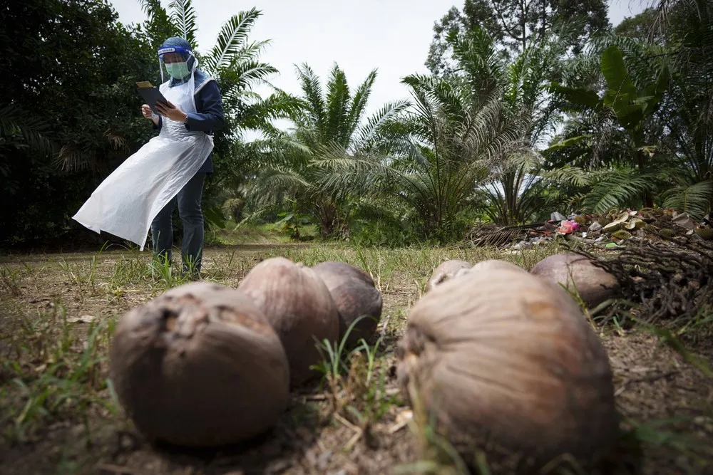 A Look at Life in Malaysia