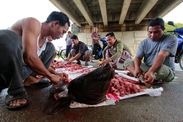 Villagers portion out meat from a slaughtered cow that had succumbed to injuries after being hit by a car on a highway as it fled from the flood, in Thailand's southern Pattani province, January 21, 2017. (Photo by Surapan Boonthanom/Reuters)