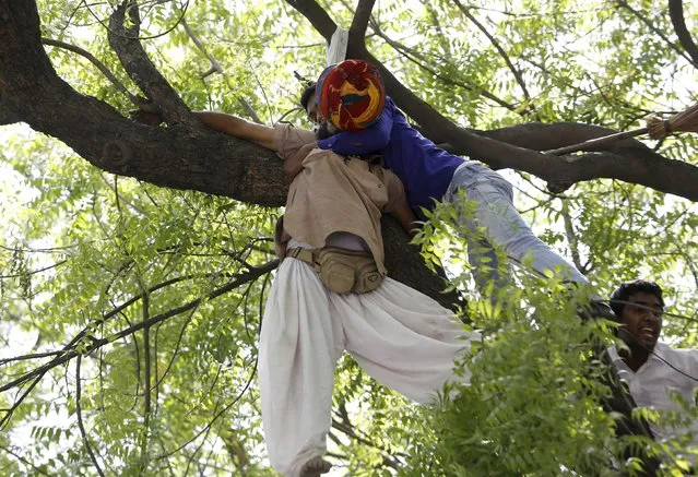 Supporters of Aam Aadmi (Common Man) Party (AAP) try to rescue a farmer who hung himself from a tree during a rally organized by AAP, in New Delhi April 22, 2015. (Photo by Adnan Abidi/Reuters)
