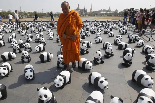 A Buddhist monk walks among panda sculptures in front of Grand Palace during an exhibition by French artist Paulo Grangeon in Bangkok, Thailand, March 4, 2016. (Photo by Chaiwat Subprasom/Reuters)