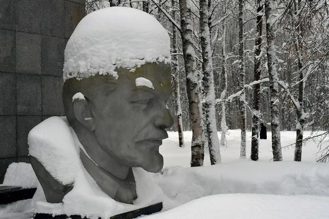 A man walks past a snow-covered aluminium bust depicting Soviet state founder Vladimir Illitch Lenin created by Soviet sculptor Grigory Yastrebenetsky in a park of a museum complex in Razliv, outside Saint Petersburg, on January, 21, 2024. On January 21, 2024, Russia marks the 100th anniversary of the death of Vladimir Illitch Lenin, who was placed in the mausoleum in Moscow, despite his wish to be buried near his mother at the Volkovo cemetery in Saint Petersburg. (Photo by Olga Maltseva/AFP Photo)