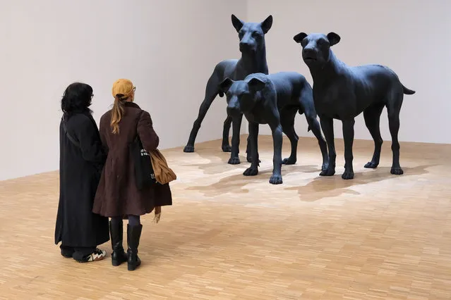 Visitors look at the work titled “En Garde”, 2023 by Australian-born artist Ron Mueck at Triennale di Milano on January 09, 2024 in Milan, Italy. (Photo by Giuseppe Cottini/Getty Images)