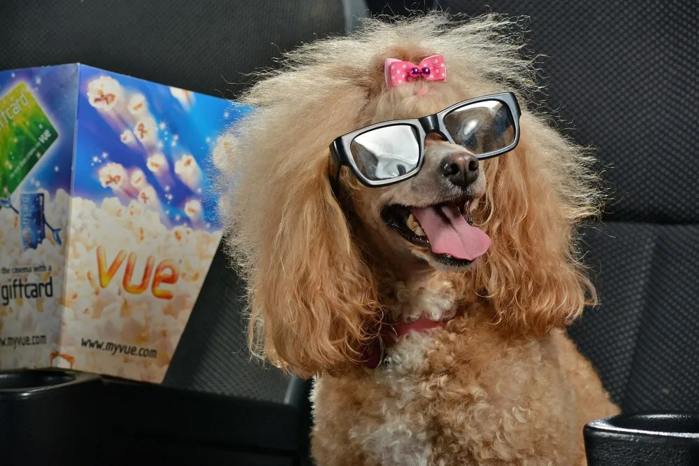 Simply Some Photos, Part 2/2