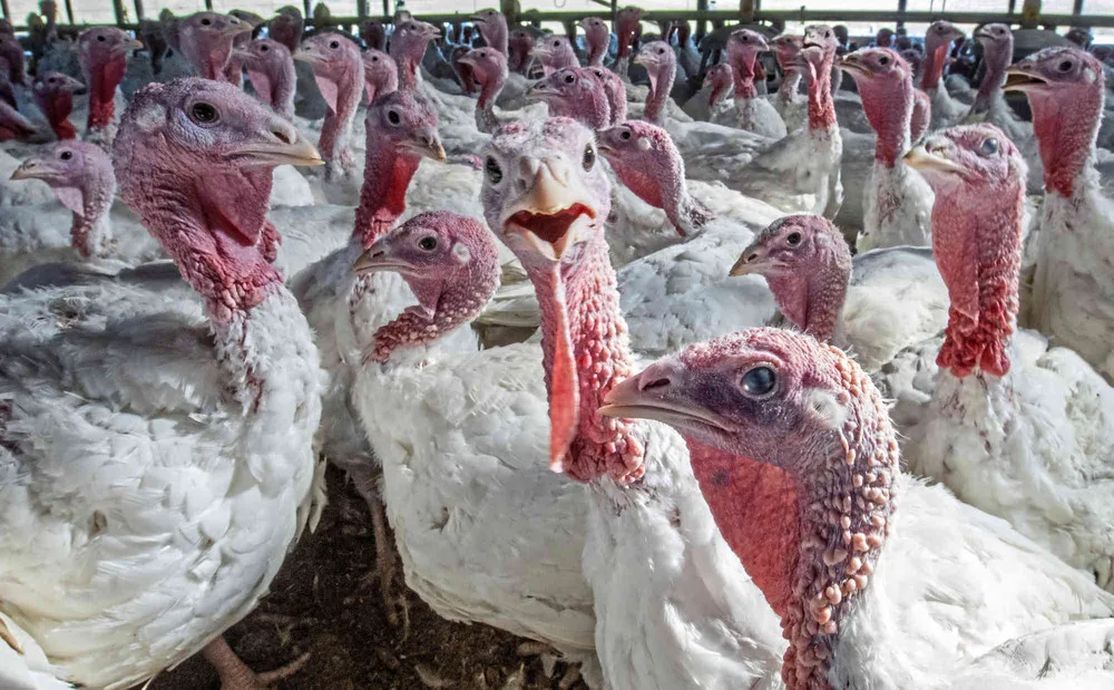 USA last Week, Part 2/2