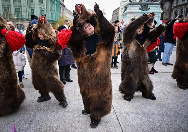 People comming from Romania's historical region of Moldova, wear bearskin as they march and dance during the second edition of the International Festival of Winter Traditions “Cetatea lui Bucur” in Bucharest, Romania, on December 16, 2023. (Photo by Daniel Mihailescu/AFP Photo)