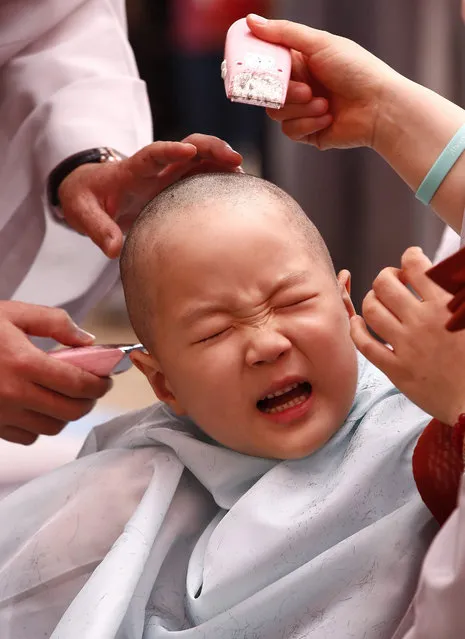 A young monk crys as his hair is shaved off during the “Children Becoming Buddhist Monks” ceremony at a Chogye temple in Seoul, South Korea, 11 May 2015. The children will stay at the temple to learn about Buddhism for 20 days. South Korean Buddhists prepare to celebrate Buddha's upcoming birthday on 25 May. (Photo by Jeon Heon-Kyun/EPA)
