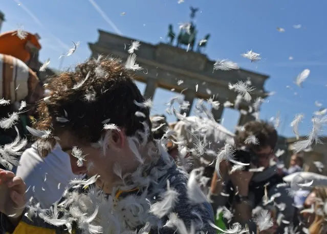 Feathers fall on participants of a public pillow fight in front of Berlin's landmark the Brandenburg Gate during the “Pillow Fight Day” on April 2, 2016 in Berlin. (Photo by Ralf Hirschberger/AFP Photo/DPA)
