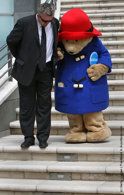 Paddington Bear's guide helps him walk down stairs