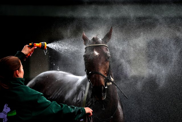 A horse is cooled down at Warwick Racecourse, UK on Thursday, April 25, 2024. (Photo by David Davies/PA Images via Getty Images)