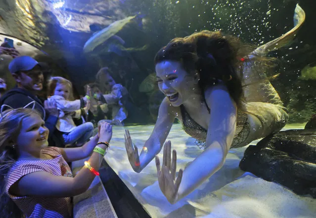 Mermaid Hales Parcells greets children as she performs at the Virginia Aquarium in Virginia Beach, Va., Monday, April 3, 2017. (Photo by Steve Helber/AP Photo)
