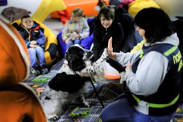 Ukrainian children take part in a therapy session with a therapeutic dog, in a complex set up as a shelter organised by volunteers, amid Russia's invasion of Ukraine, in Zaporizhzhya, Ukraine, April 13, 2022. (Photo by Ueslei Marcelino/Reuters)