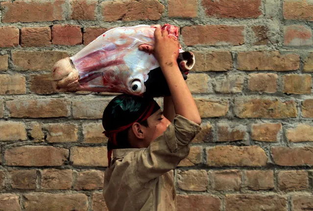 A worker carries a cow's head at a slaughterhouse in Peshawar, Pakistan on July 26, 2017. (Photo by Fayaz Aziz/Reuters)