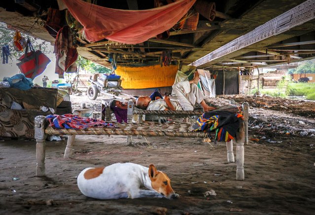 People sleep outside their makeshift homes under an old iron railway bridge over the Yamuna River, in the old quarters of Delhi, India on September 3, 2024. (Photo by Ainnie Arif/Reuters)