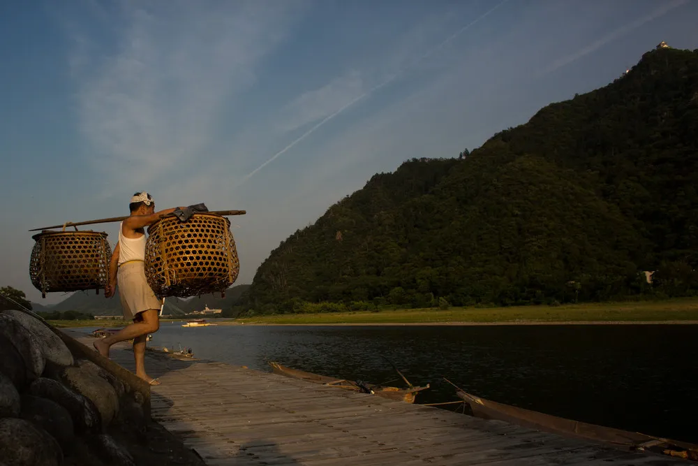 Bird Fishermen of Japan