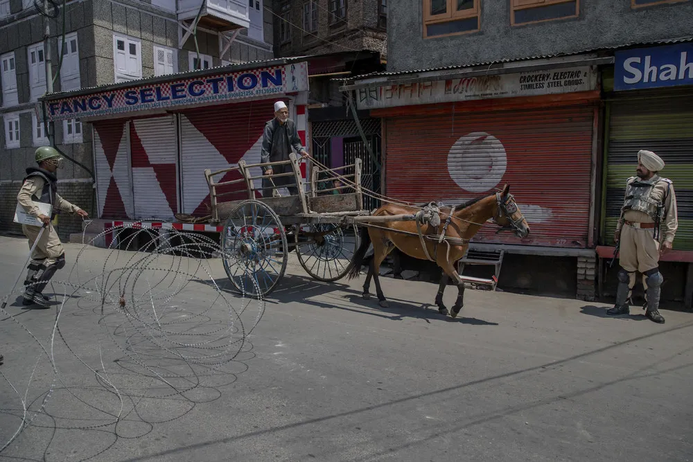 A Look at Life in India