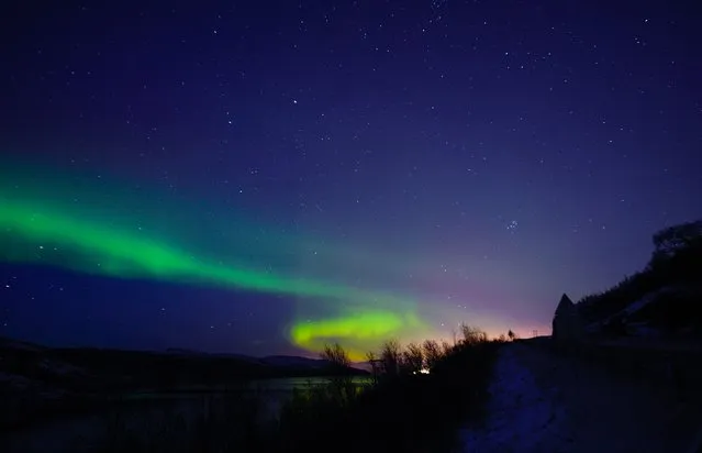The Aurora Borealis illuminates the night sky on November 11, 2015 near the town of Kirkenes in northern Norway. (Photo by Jonathan Nackstrand/AFP Photo)