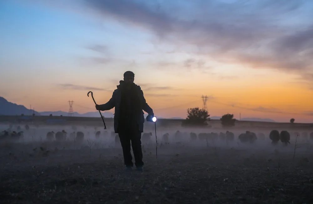 People in the Landscape