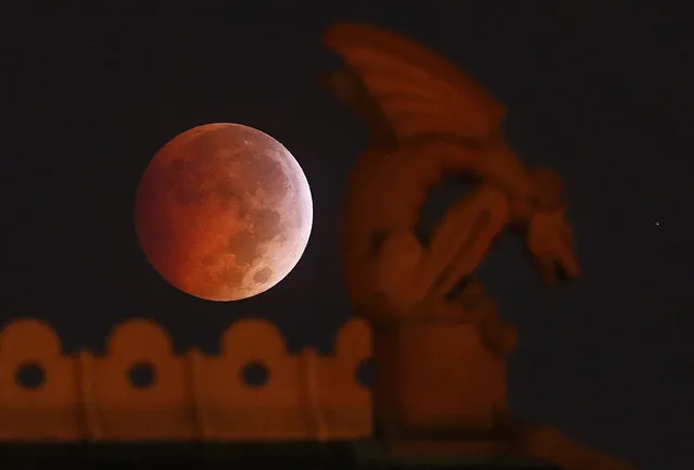 A lunar eclipse appears behind a gargoyle atop the old red Dallas County Courthouse early Wednesday morning, October 8, 2014. The moon appears orange or red, the result of sunlight scattering off Earth's atmosphere. This is known as the blood moon. (Photo by Tom Fox/AP Photo/The Dallas Morning News)