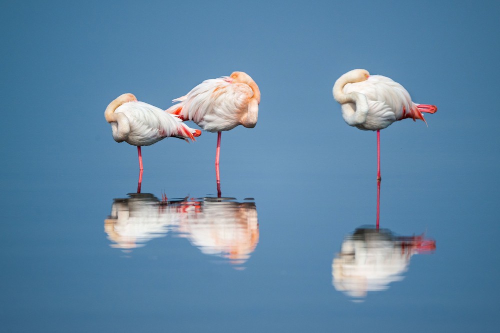 Some Photos: Reflection